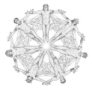Kaleidoscope